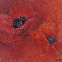 Poppies