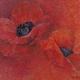 Poppies | £60 | | Mounted Giclee print Poppies