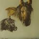 | £350(sold) | | Pastel