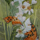 butterflies