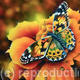 Painted Lady butterfly