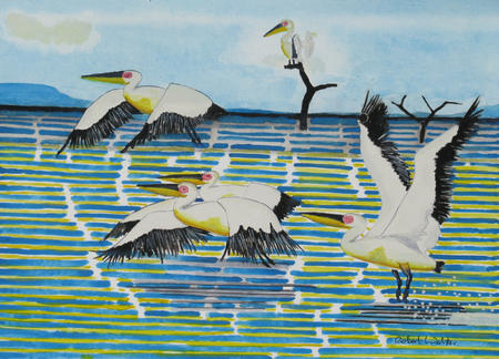 Four Pelicans