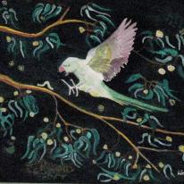 Green parrot seeks lunch