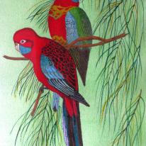 Red Parakeets