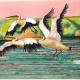 Three Pelicans | | | Watercolour Three Pelicans