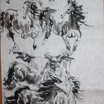 8 horses in springtime