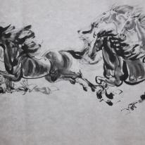5 horses running together