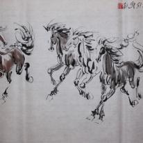 6 horses galloping together