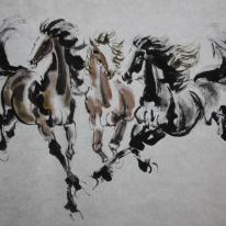three horses galloping together