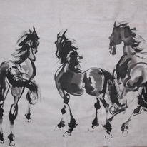 three horses walking together