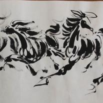 8 horses running galloging together