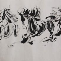 8 horses dancing in ballet