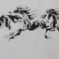 8 horses running into spring