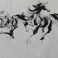 8 black horses in ballet