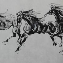 8 beautiful horses together