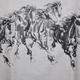 8 horses