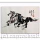 two horses dancing together 3