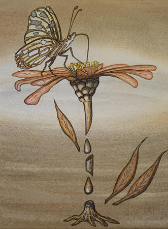 Tasting the Nectar