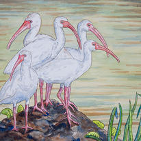 Ibis Defence