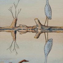 Hungry Heron