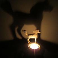 Shadow Horse