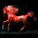 Little Red Horse | | | Little Red Horse