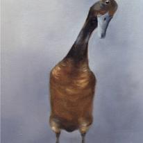 Runner Duck (Monty)