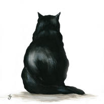 Black Cat