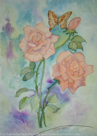 Apricot Rose with Butterfly