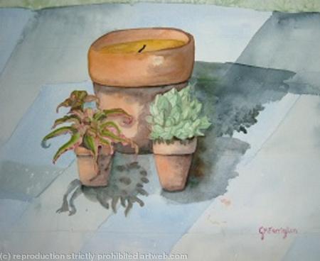 Cactus in pots