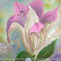 Lily