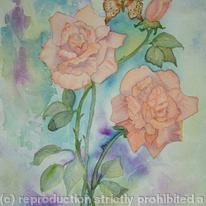 Apricot Rose with Butterfly
