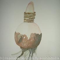 Amarylis 1