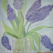 Geoff's  Hyacinths in Vase