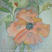 Poppy