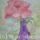 Dad\'s Rose