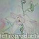 judiths-magnolia - In…
