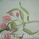 Pink flowers