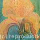 Yellow Lily