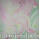 Iris Abstract