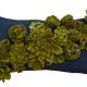 sage green and thunder…