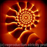 Nautilus. - Original acrylic painting and digital photo.