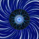 035.jpg