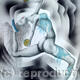 Expression of movement.