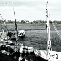 Nile Taxi Rank