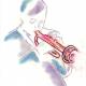 Trumpet