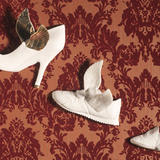 flying shoes - bone china and lustre
