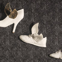 flying shoes