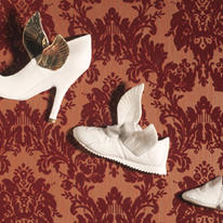 flying shoes