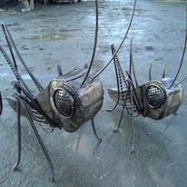 Grasshoppers